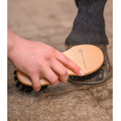 Cepillo de cascos para caballo Waldhausen Exclusive