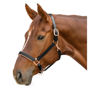 Cabezada de cuero para equitación Rosé X-Line