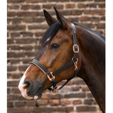 Cabezada de cuero para equitación Rosé X-Line