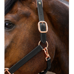 Cabezada de cuero para equitación Rosé X-Line