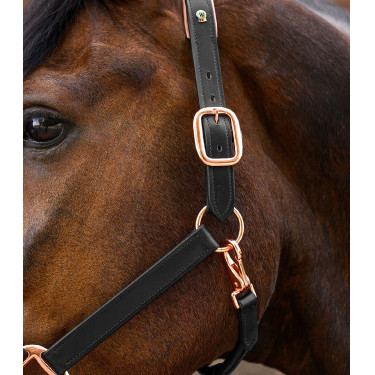 Cabezada de cuero para equitación Rosé X-Line