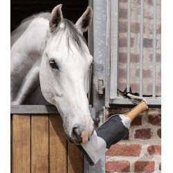 Juguete para caballo botella champán Waldhausen