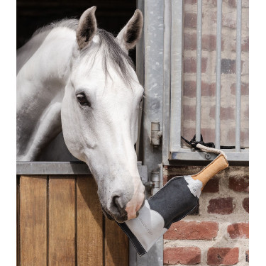 Juguete para caballo botella champán Waldhausen