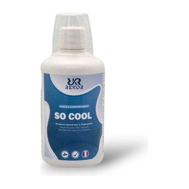 Pienso complementario Rekor So Cool