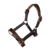 Cabezada de cuero Oro rosa Hobby Horsing- HKM Castaño Marr&amp;amp;amp;oacute;n