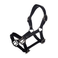 Cabezada de cuero Lacado Hobby Horsing- HKM