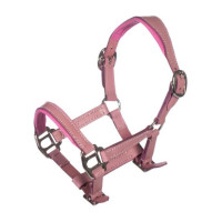 Cabezada de cuero Pink Hobby Horsing- HKM Rosa