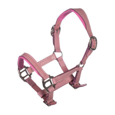 Cabezada de cuero Pink Hobby Horsing- HKM Rosa