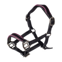 Cabezada de cuero Manchester Hobby Horsing- HKM Negro / fucsia