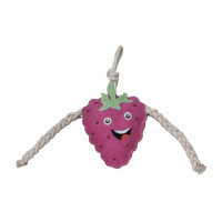Juguete para caballos Manchester- HKM Magenta Rosa