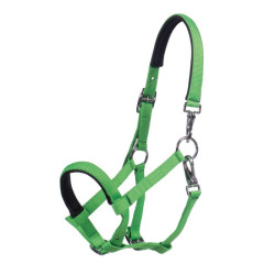 Cabezada de potro HKM Millie para equitación