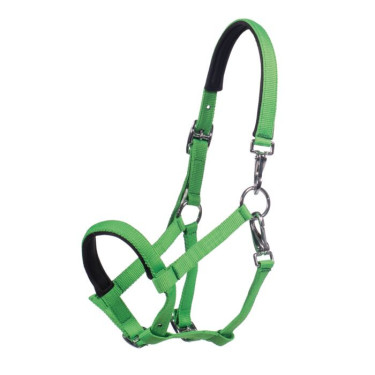 Cabezada de potro HKM Millie para equitación