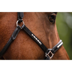 Cabezada de cuero HKM Sparkle Negro