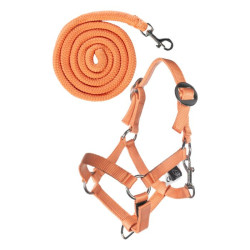 Cabezada y ramal HKM Hobby Horsing Basic Naranja