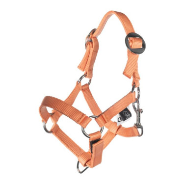 Cabezada y ramal HKM Hobby Horsing Basic Naranja
