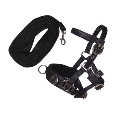 Juego de cuerda para hobby horse HKM – equitación