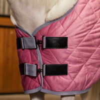 Manta de cuadra HV Polo Sacha Piensa en rosa