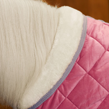 Manta de cuadra HV Polo Sacha Piensa en rosa