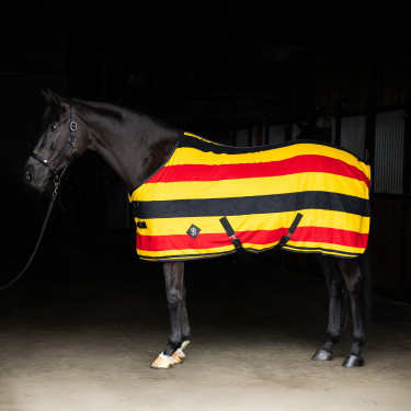 Manta polar Imperial Riding Stripe