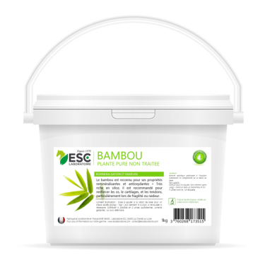 Bambú ESC Laboratoire Bambú ESC Laboratoire