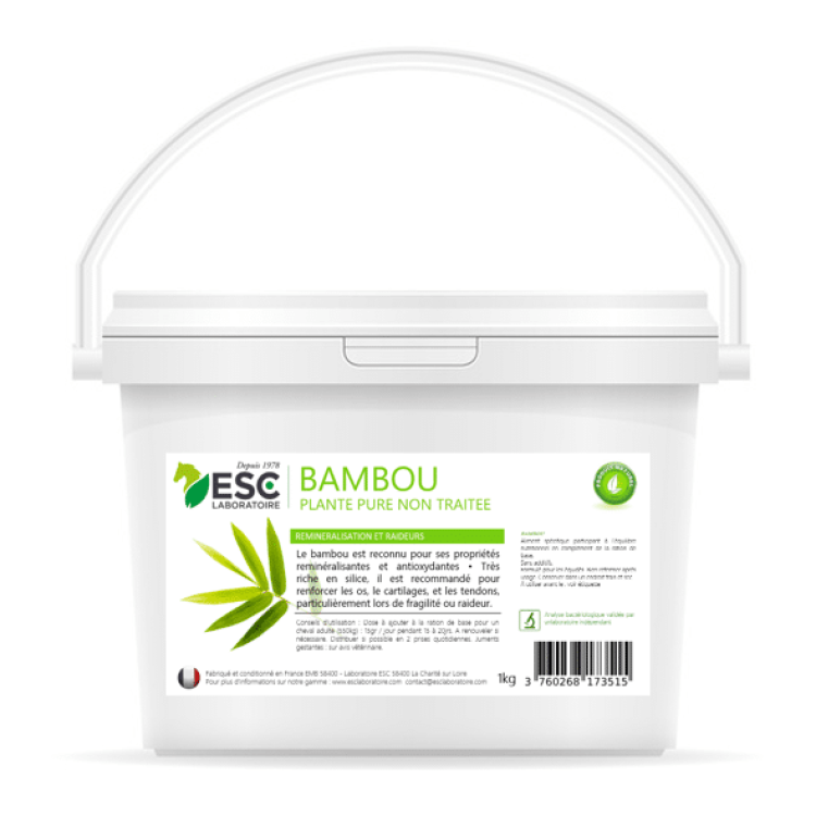 Bambú ESC Laboratoire Bambú ESC Laboratoire