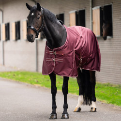 Manta de paddock 200g para caballo | Equitación IR