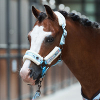 Cabezada Imperial Riding Little Champion Azúl claro