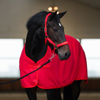 Cabestro Imperial Riding Devil Roja Rojo