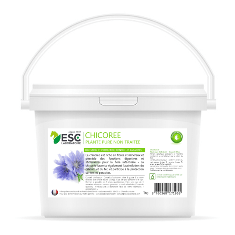 Achicoria ESC Laboratoire Achicoria ESC Laboratoire