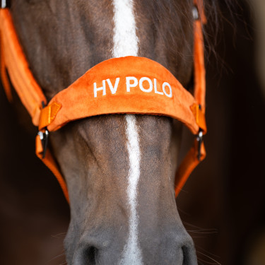 Cabezada HV Polo Luxury Calabaza Naranja Cabezada HV Polo Luxury Calabaza Naranja