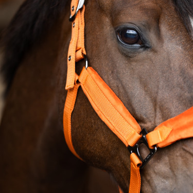 Cabezada HV Polo Luxury Calabaza Naranja Cabezada HV Polo Luxury Calabaza Naranja