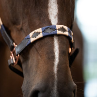 Cabezada HV Polo Chaya Marrón / marino Marr&amp;amp;amp;oacute;n