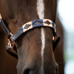 Cabezada de cuero HV Polo Chaya para equitación
