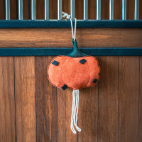 Juguete de box HV Polo Pumpkin Calabaza Multicolor