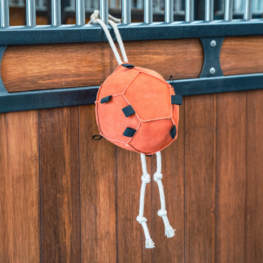 Juguete para el box Horse ball HV Polo Volley Calabaza Multicolor Juguete para el box Horse ball HV Polo Volley Calabaza Multicolor