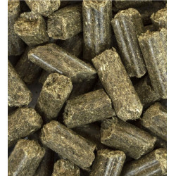 Eucalipto Equigood ESC Laboratoire