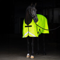 Manta exterior Imperial Riding Reflective 200 g Amarillo