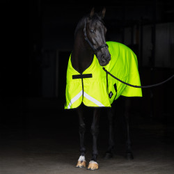 Manta exterior Imperial Riding Reflective 200 g Amarillo