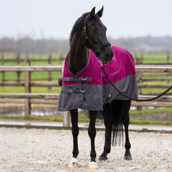 Manta de exterior Imperial Riding Limited verano con cuello Frambuesa / grís Rojo