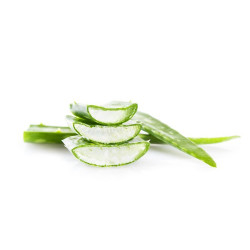 Gel de Aloe Vera ESC Laboratoire Gel de Aloe Vera ESC Laboratoire