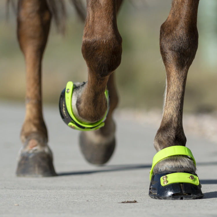 Scoot Boots - botas para caballos Scoot Boots - botas para caballos