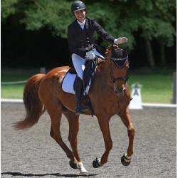 Scoot Boots - botas para caballos Scoot Boots - botas para caballos