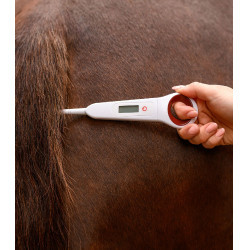 Termómetro clínico digital para caballos Waldhausen