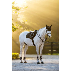 Mantilla Square Close Contact Brilliance LeMieux