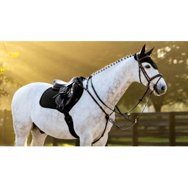 Mantilla Square Close Contact Brilliance LeMieux