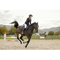 Chaqueta de concurso Pro Series Comptair Negro
