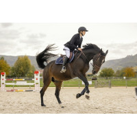Chaqueta de concurso Pro Series Comptair Negro Chaqueta de concurso Pro Series Comptair Negro