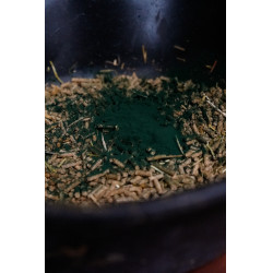 Spirulina Natural'Innov