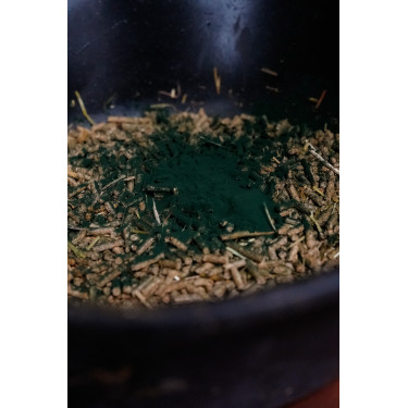Spirulina Natural'Innov