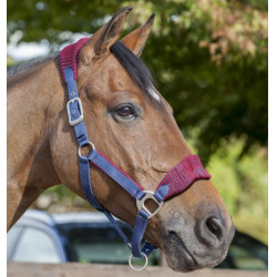 Cabezada de cuadra Lemieux Vogue Cabezada de cuadra Lemieux Vogue